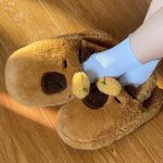 chausson animal capybara